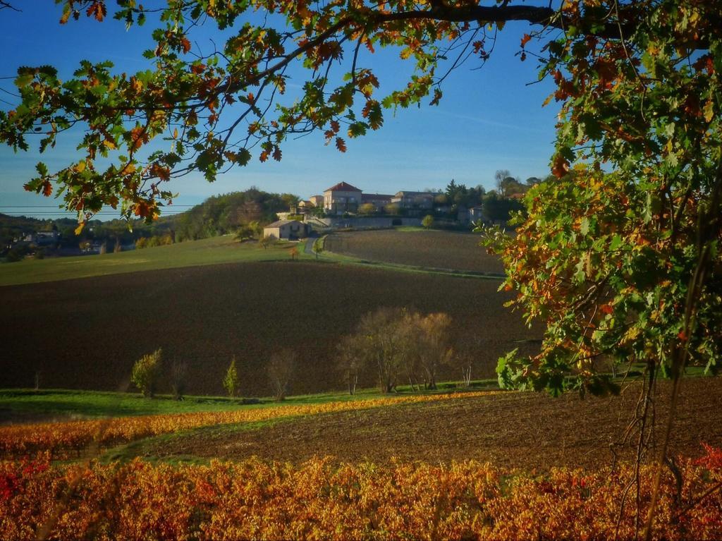 Chateau Labistoul Campes Esterno foto